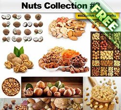 高清果仁干果坚果图片：Nuts Collection 2